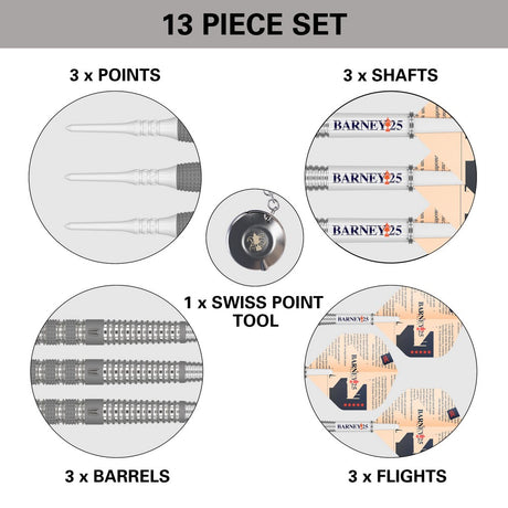 Target Raymond van Barneveld 25 Years Edition Softdarts