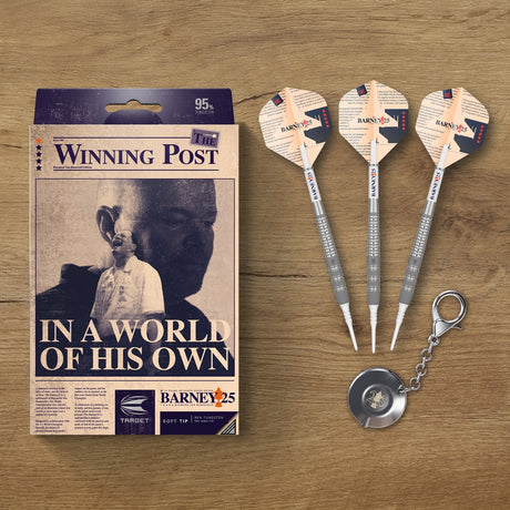 Target Raymond van Barneveld 25 Years Edition Softdarts