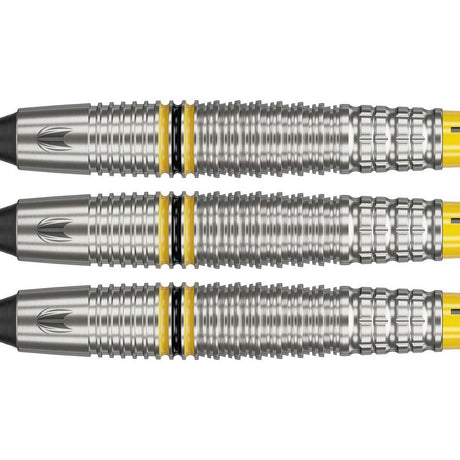 Target Scott Williams G2 Softdarts