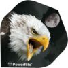 Bulls Powerflite Adler