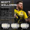 Target Scott Williams Flights No.2