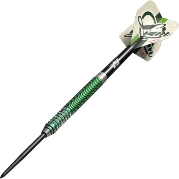 BULLS NL Liam Maendl Lawrence Steeldarts