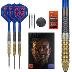 Target Raymond van Barneveld G6 Steeldarts