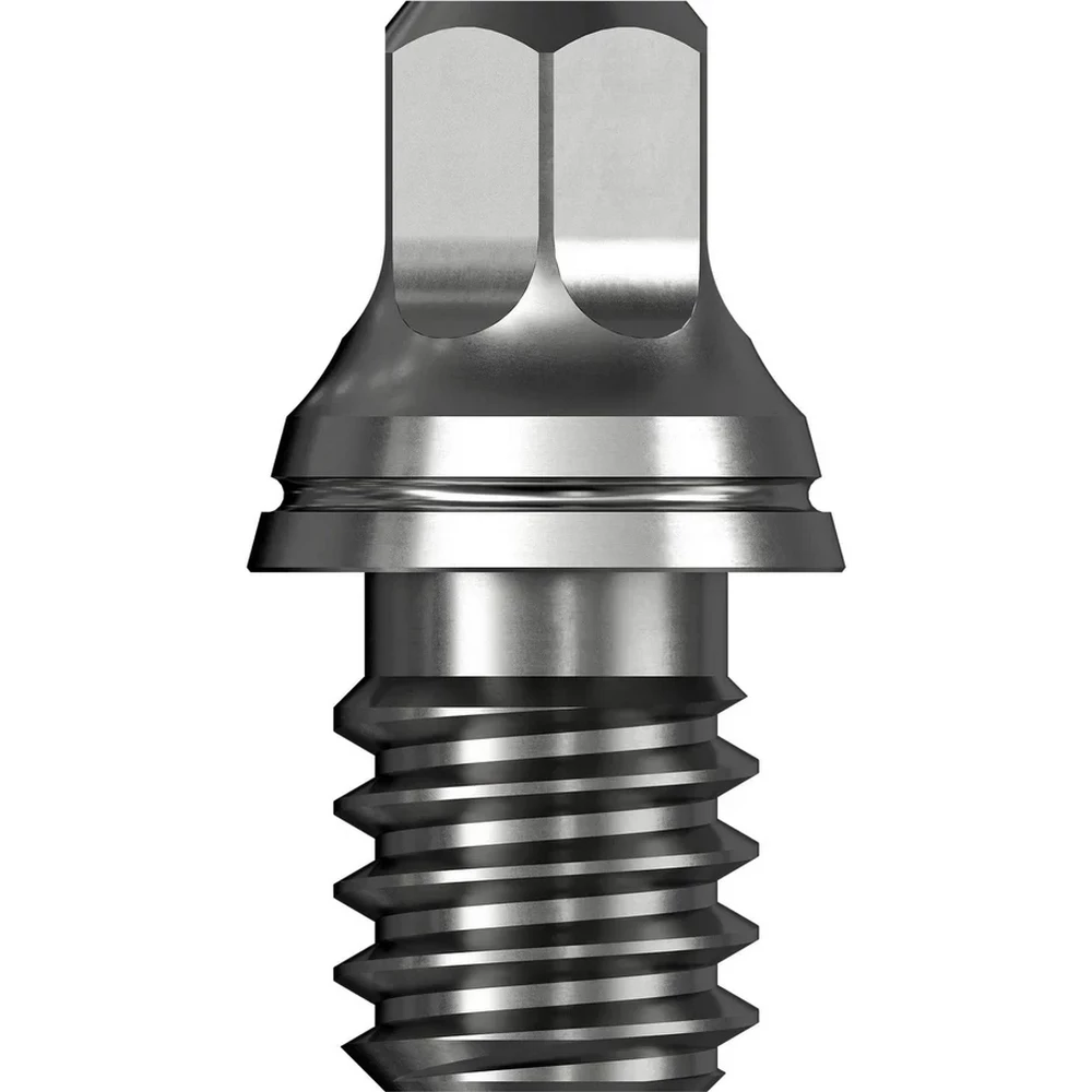 Caliburn Converter 2BA zu EVO Wechselspitzen