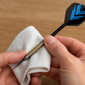 Dart Reinigung